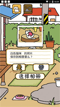 猫咪后院中文版(1)