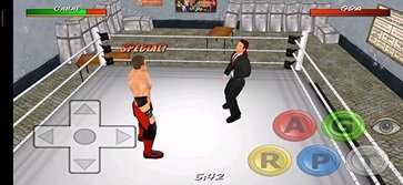 摔跤革命3D汉化版(2)