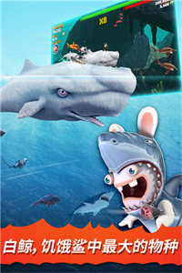 饥饿鲨进化手游国际版(2)
